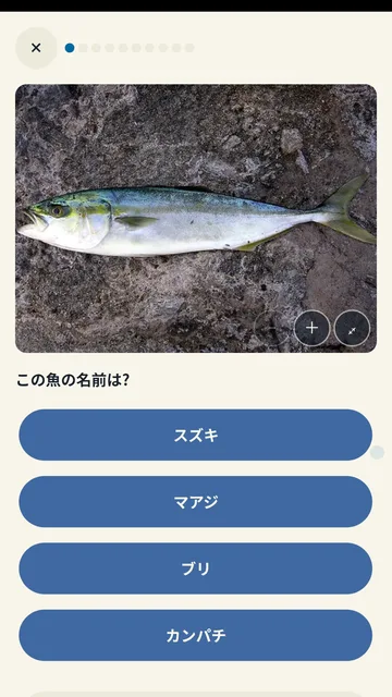 クイズ画面