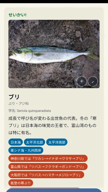 正解した魚の解説