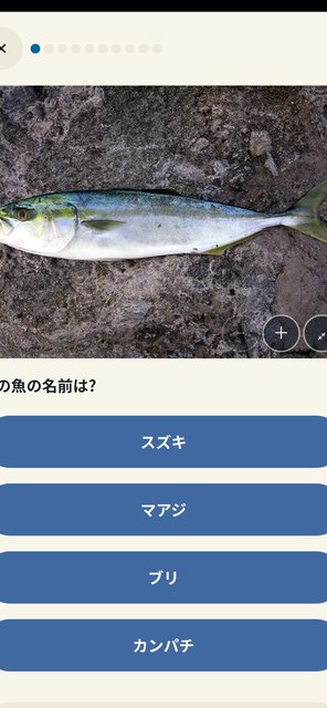wr shot sakana 1 - さかなクイズ - 800種以上の日本の魚図鑑